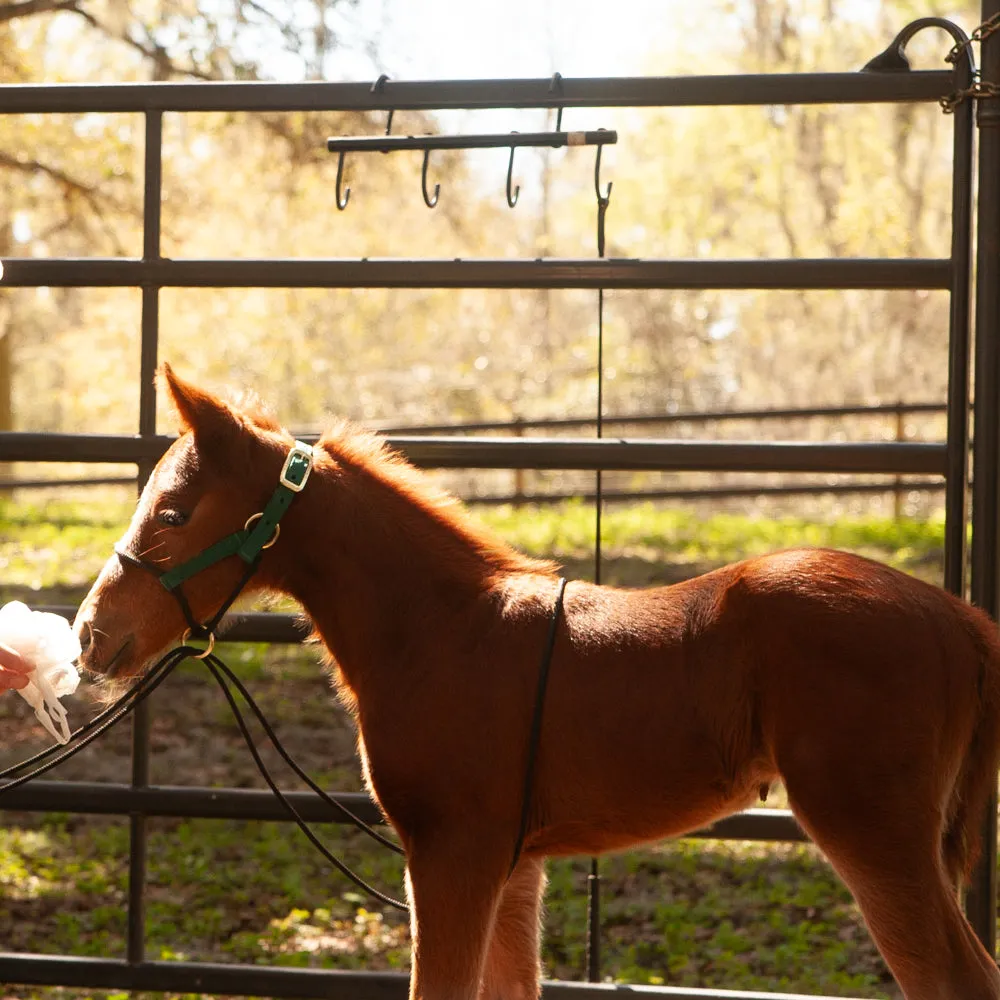 22' Foal Handling Line/ Soft Driving Lines