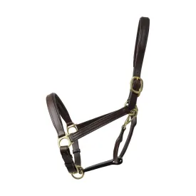 Coldstream Leather Padded Head Collar