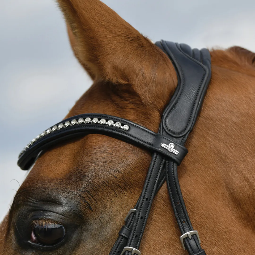 Collegiate Comfitec Opulux Padded Dressage Bridle