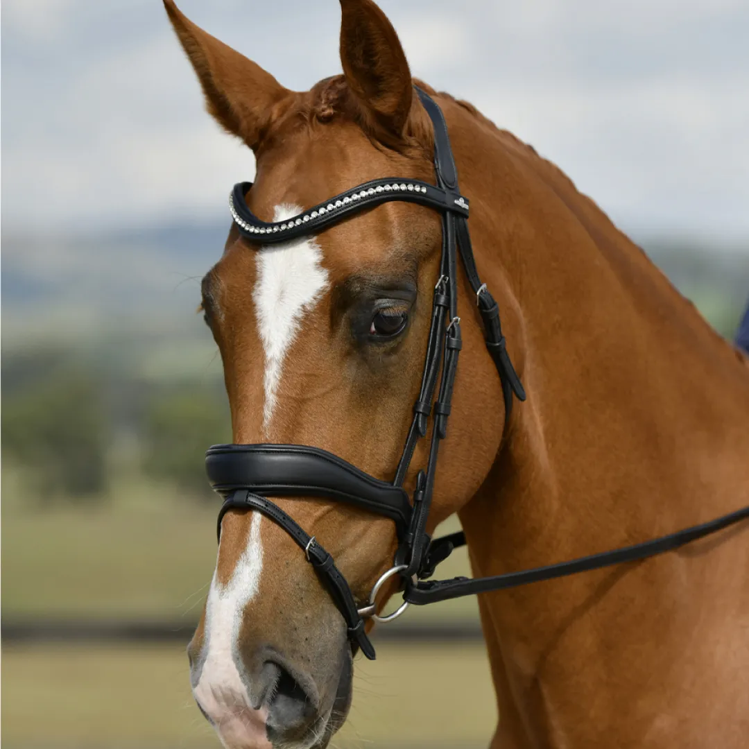 Collegiate Comfitec Opulux Padded Dressage Bridle