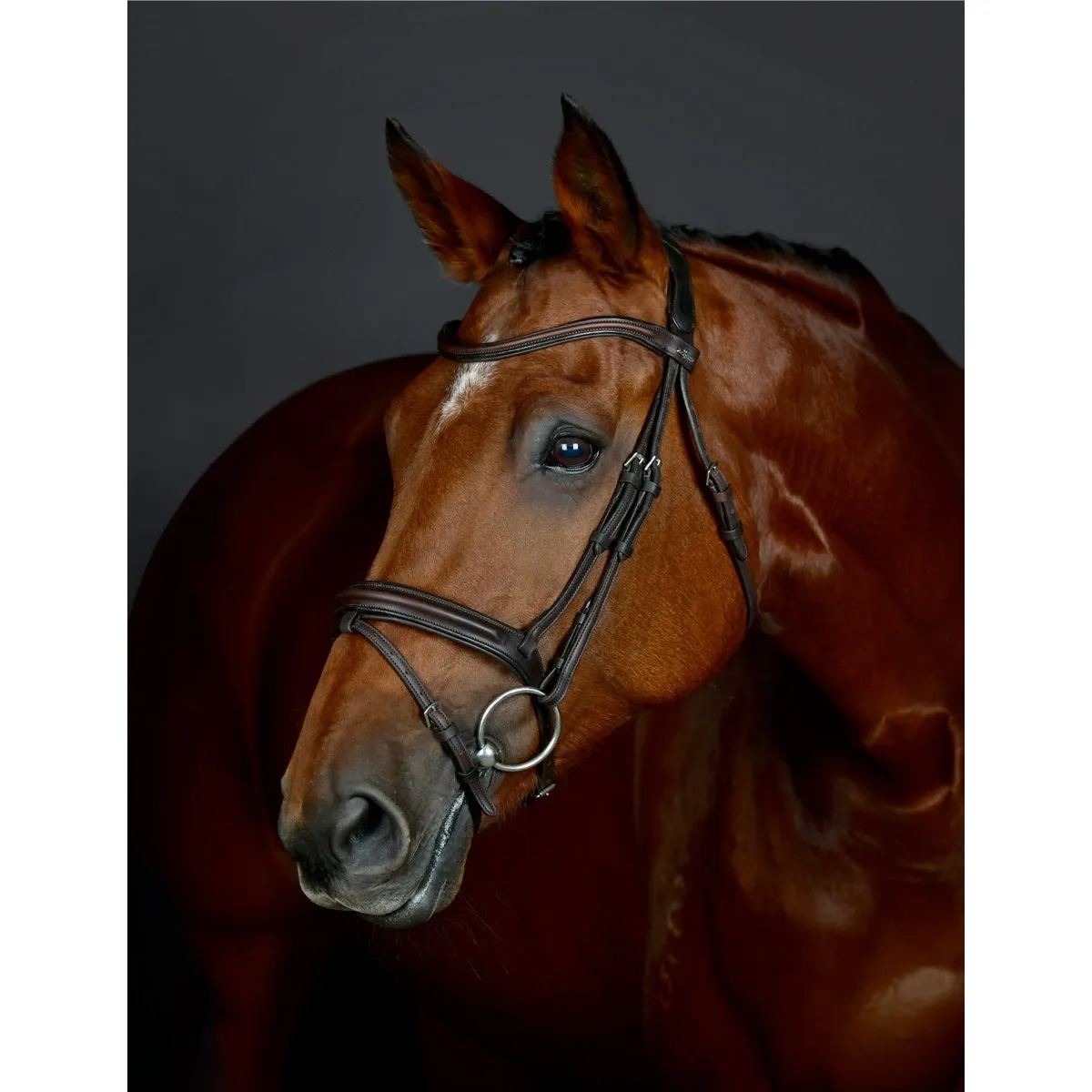 Collegiate ComFiTec Opulux Plain Padded Hanoverian Flash Bridle