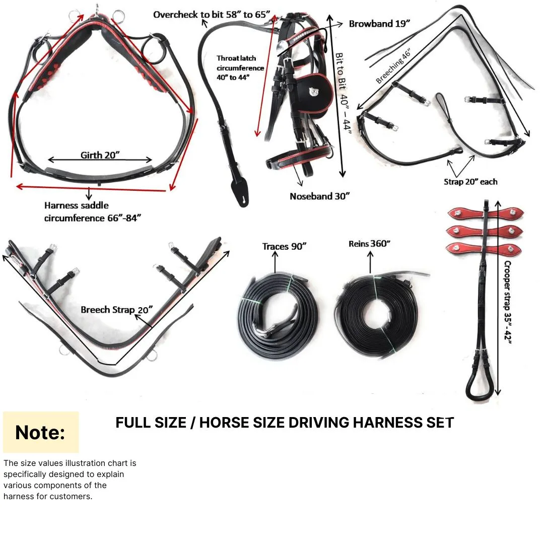 Horse Driving Harness - Leather